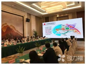 可喜进展 南京大学苏州校区建设中，苏州共享学区落地领跑南信息时代