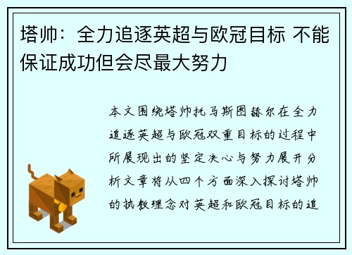 塔帅:全力追逐英超与欧冠目标 不能保证成功但会尽最大努力